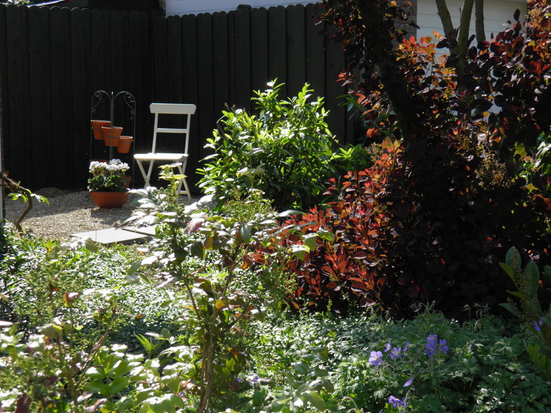 Ahorngold Garten mit Stuhl